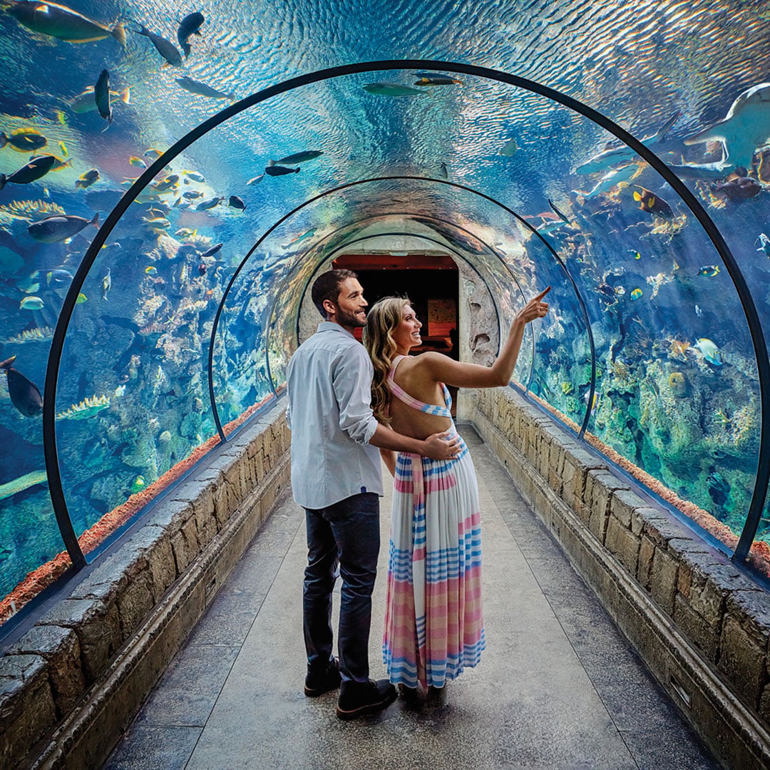 Visitors walking through the underwater tunnel at Shark Reef Aquarium in Las Vegas