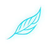 PCK Travel Neon Aqua Feather