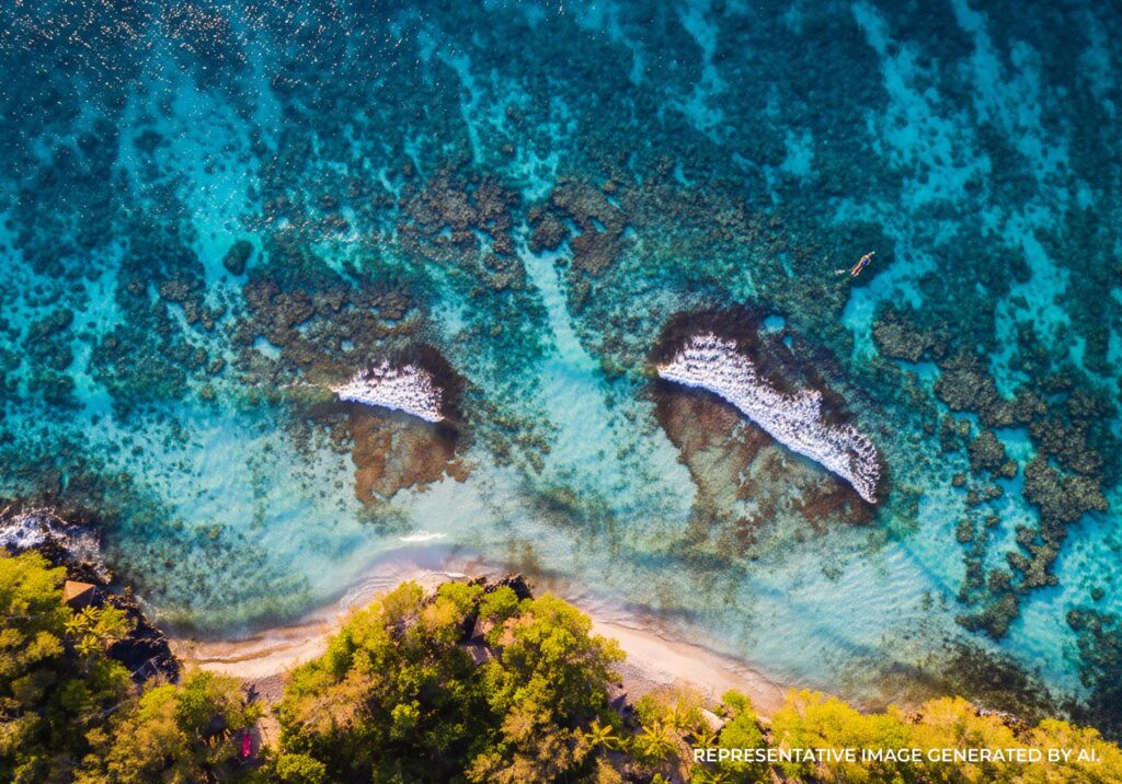 aerial view of coral reef and tropical fish in bright turquoise water in the maldives
