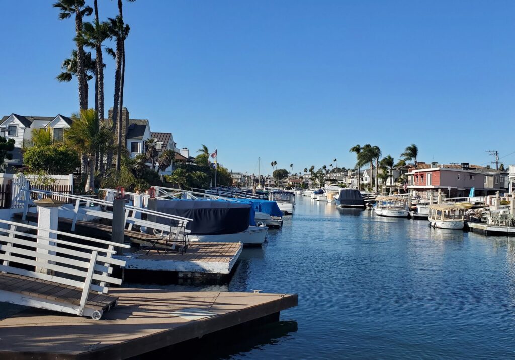 Palm trees and a harbor walkway beside boats in Newport Beach, California.