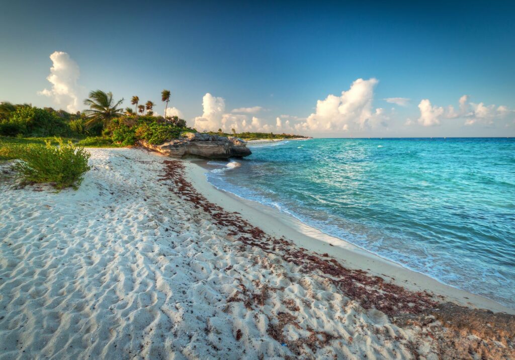 Peaceful Playa del Carmen shoreline with white sand, turquoise water, and palm trees under a blue sky