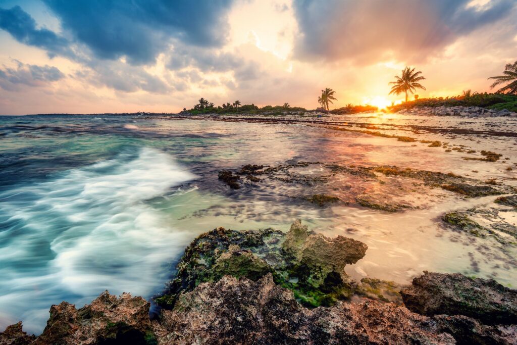 Stunning Playa del Carmen sunset over rocky shoreline with turquoise water, palm trees, and golden Caribbean light.
