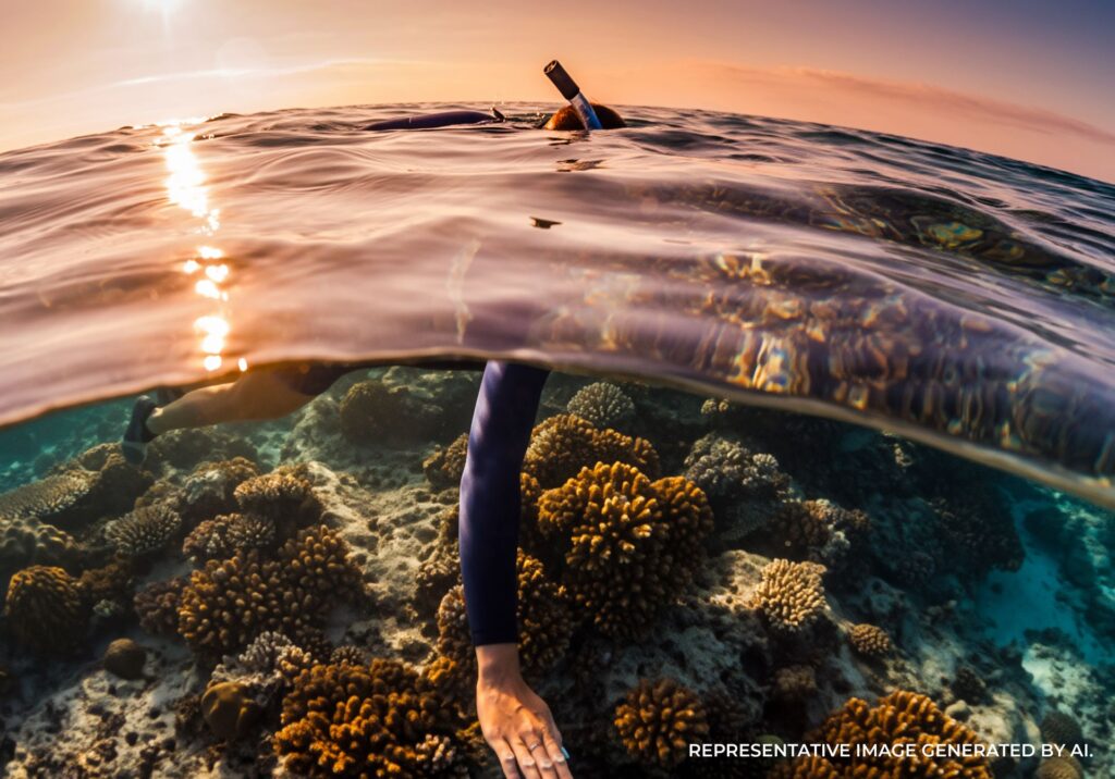 Split view of a snorkeler underwater with coral and surface reflections above.