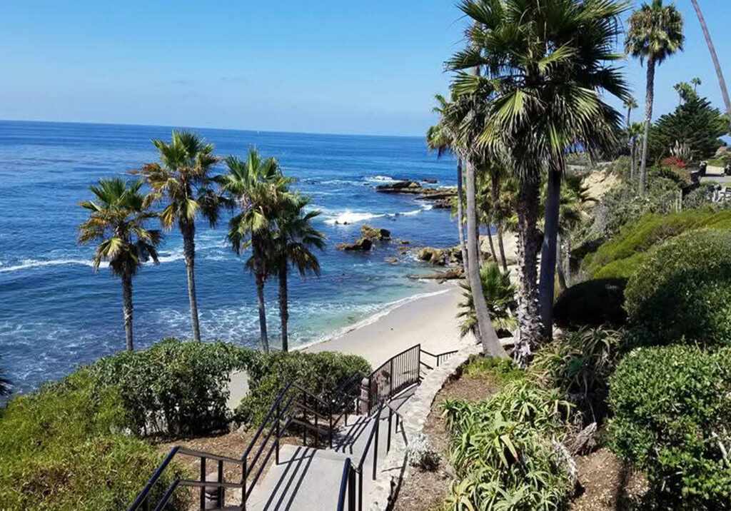 Palm trees and a coastal stairway overlooking the rocky shoreline at Laguna Beach, California on a sunny day.