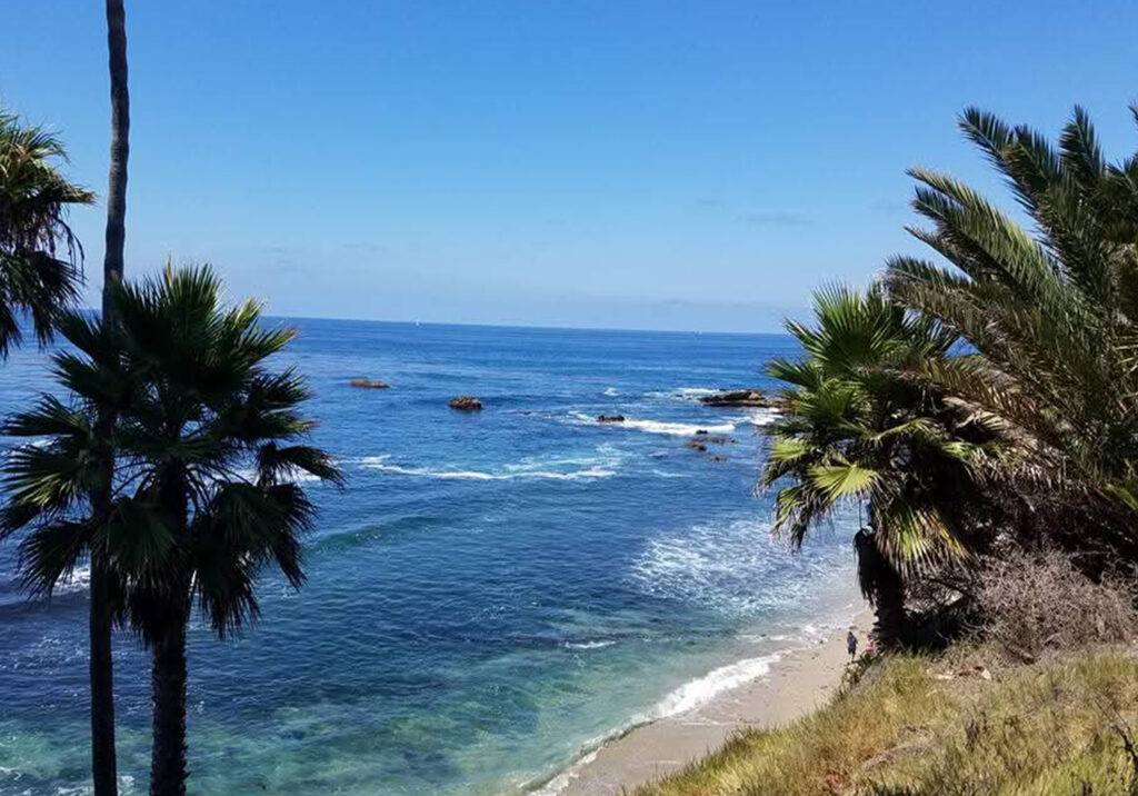 View of turquoise water, rocky coastline, and palm trees from an elevated overlook at Laguna Beach, California.