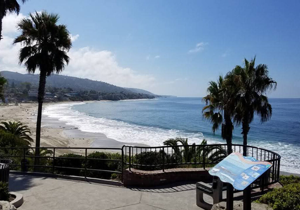 Cliffside view of Laguna Beach, California with palm trees, coastal homes, and blue ocean water below.