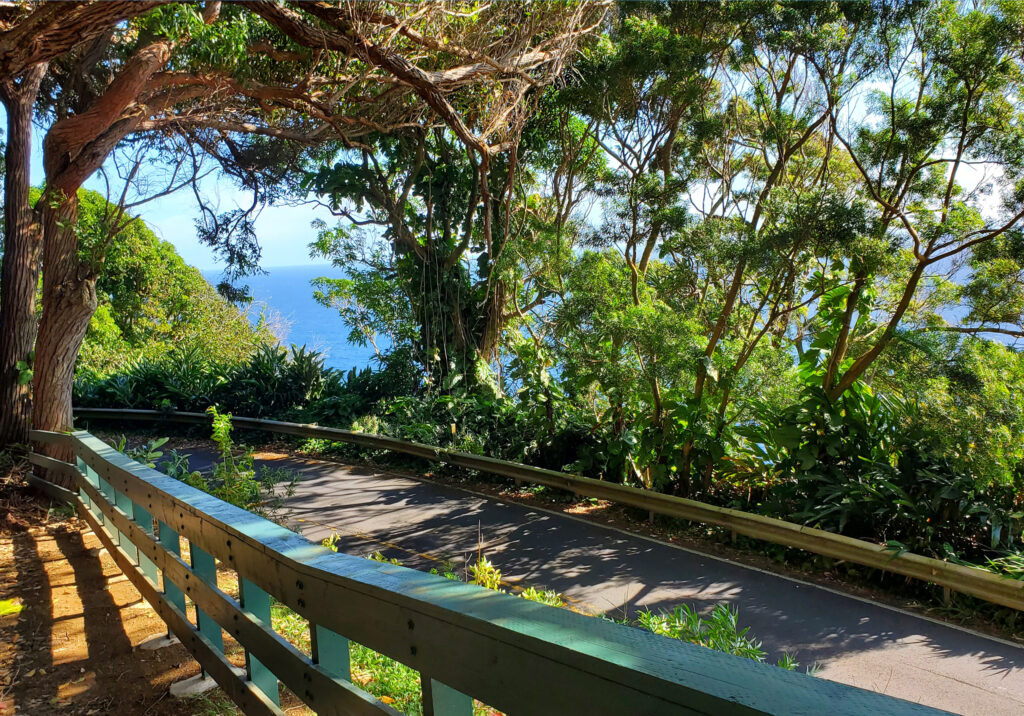 Waiʻanapanapa State Park Photo