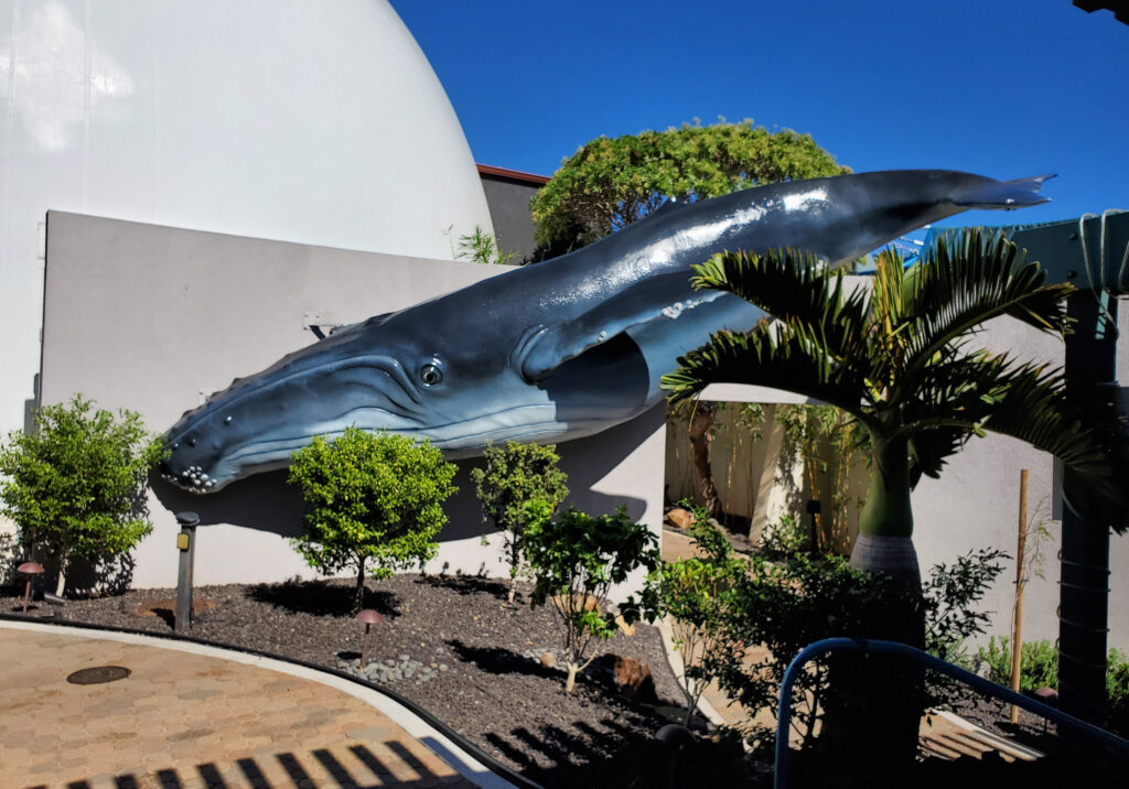 Maui Aquarium Entrance