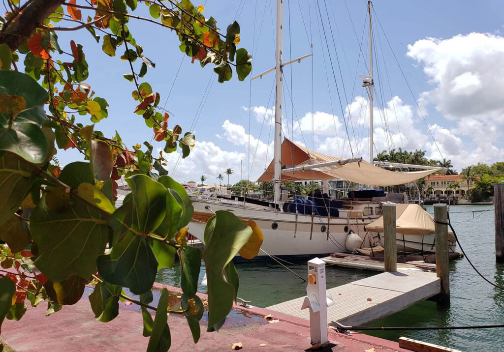 An image of a sailboat with tan colored sails partially open at a Miami Florida dock with foliage in the the left portion of the image.
