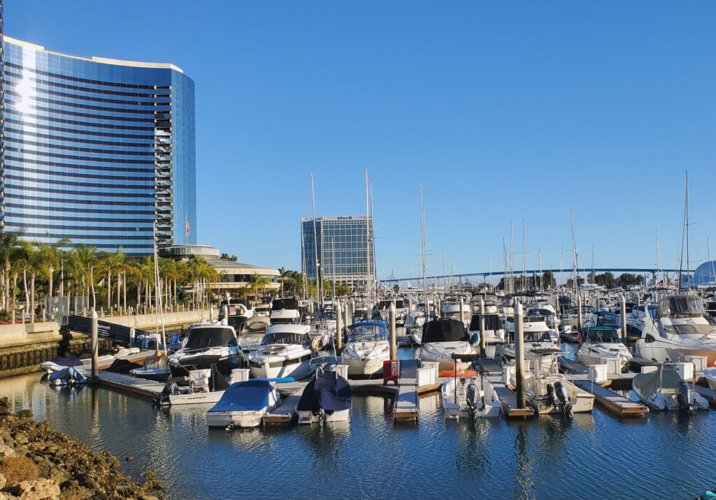 Sunny daytime view of the San Diego Marina with sailboats docked along the waterfront and tall buildings in the background.