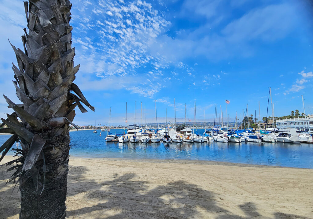Small boats docked near a sandy shoreline in Mission Bay with palm trees and a bright blue sky overhead.