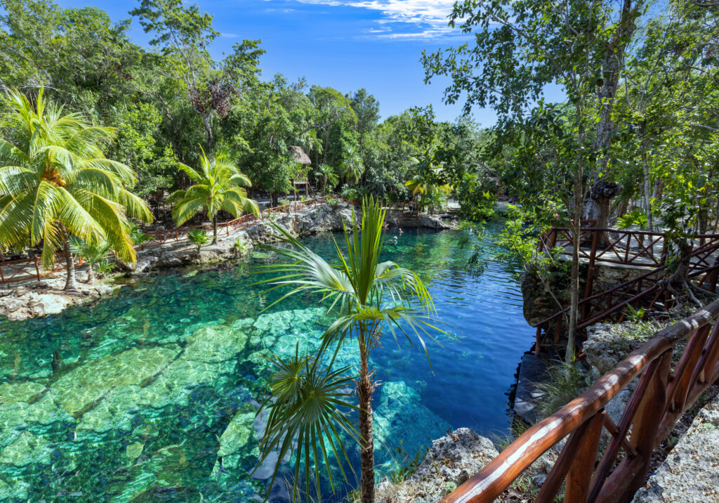 Scenic cenote surrounded by palm trees and wooden walkways with crystal-clear turquoise water near Tulum.
