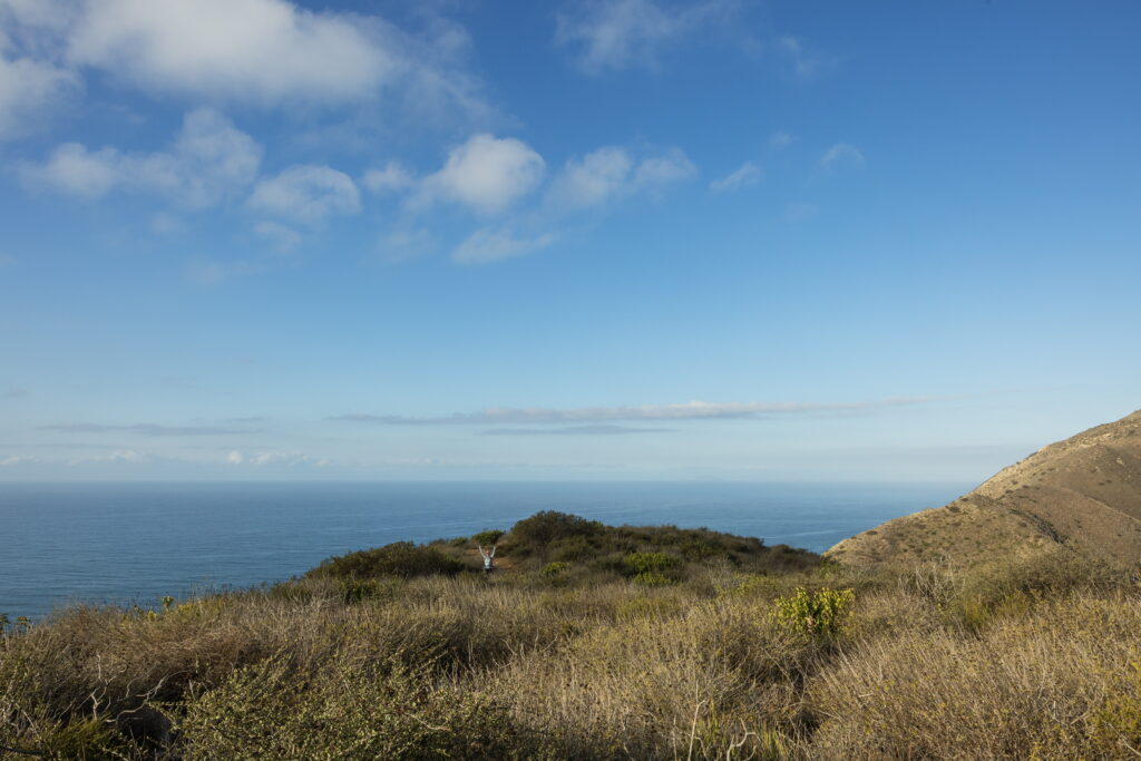 Coastal bluff overlooking the Pacific Ocean at The Ranch Malibu