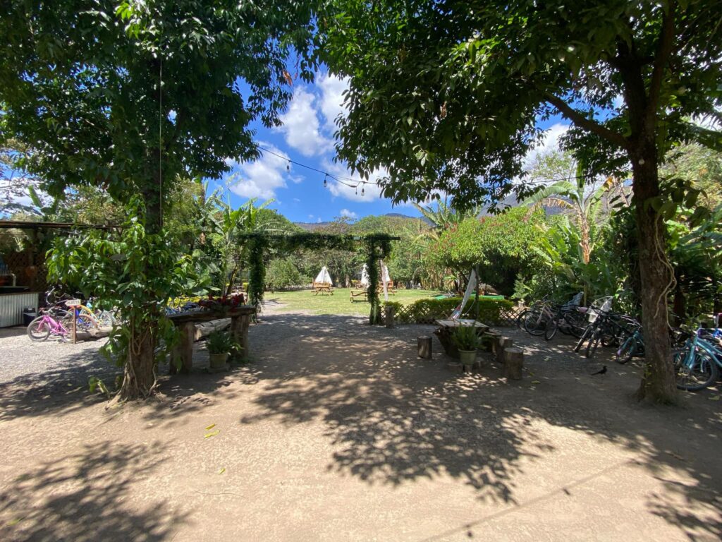 Shaded pathway lined with trees and greenery in a tropical setting
