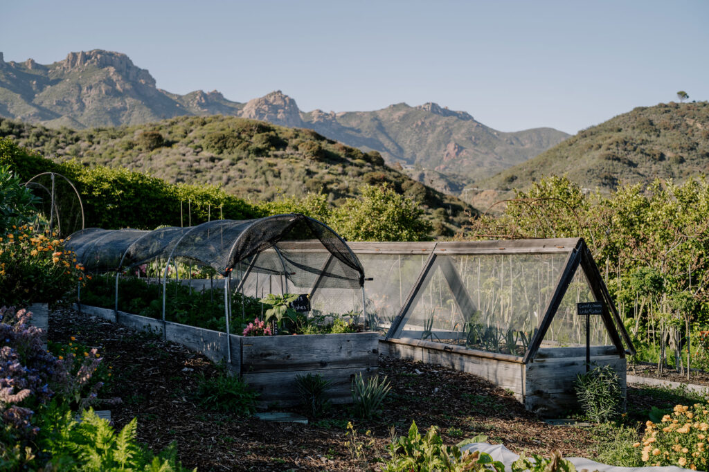Garden walkway and greenhouse at The Ranch Malibu