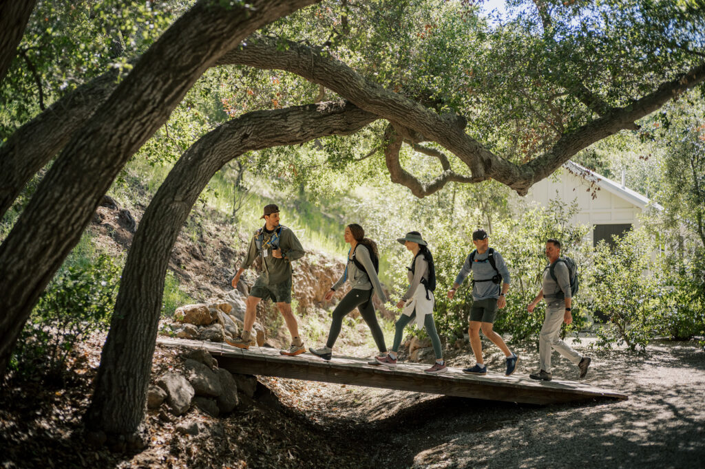 Group hiking beneath large tree canopy at The Ranch wellness retreat